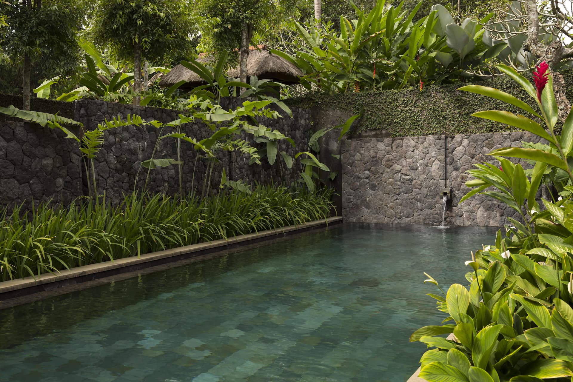 Official Site of Kayumanis Ubud Private Villas & Spa | Villa & Residence