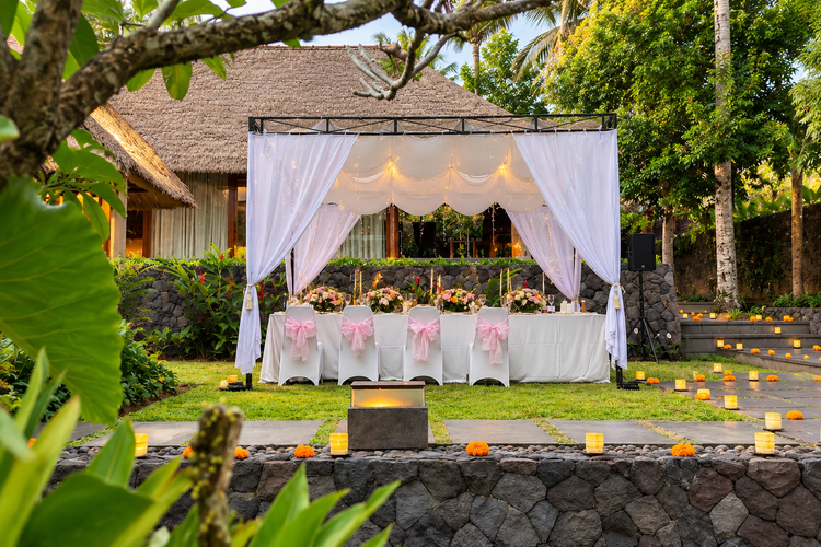Tropical Garden Wedding Canopy.png